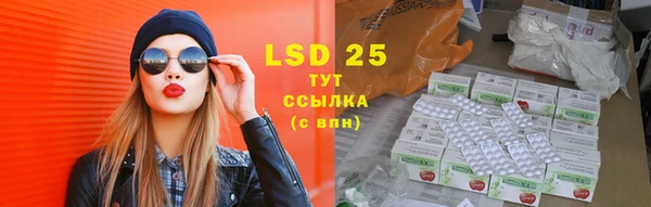 ГАЛЛЮЦИНОГЕННЫЕ ГРИБЫ Баксан