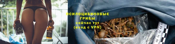 ГАЛЛЮЦИНОГЕННЫЕ ГРИБЫ Балахна