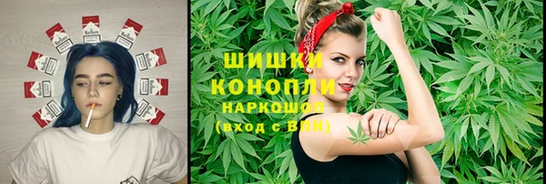 ГАЛЛЮЦИНОГЕННЫЕ ГРИБЫ Баксан