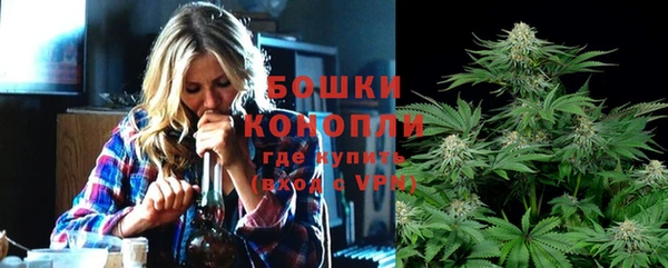 ГАЛЛЮЦИНОГЕННЫЕ ГРИБЫ Балахна